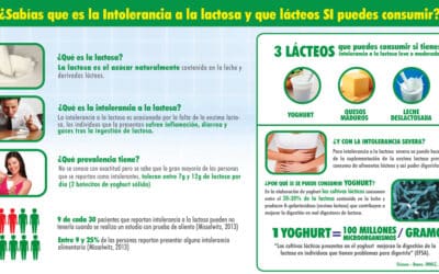 como funciona la enzima lactasa la digestion de la leche 1