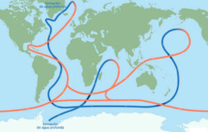 como saber si el calentamiento global esta afectando a nuestras especies marinas la verdad incomoda