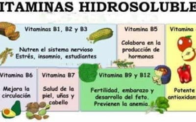 como saber si tienes una deficiencia de vitamina e la vitamina de la fertilidad