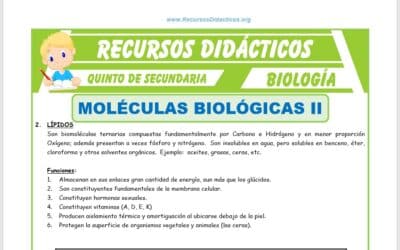 cuando se descubrio la estructura de las vitaminas las pequenas moleculas que hacen una gran diferencia