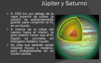 cuando se descubrio la estructura de los esteroides las moleculas de la controversia