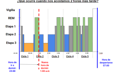 cuando se produce realmente el sueno rem y por que es importante 1