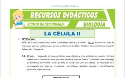 donde se produce la sintesis de acidos nucleicos la fabrica de la vida en nuestras celulas