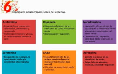 donde se produce la sintesis de hormonas la fabrica de emociones en nuestras celulas