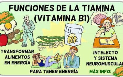 para que sirve la tiamina la vitamina del cerebro