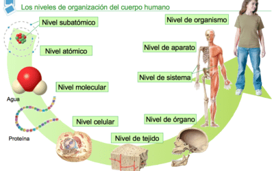 por que es tan importante la bioquimica la ciencia que explica la vida