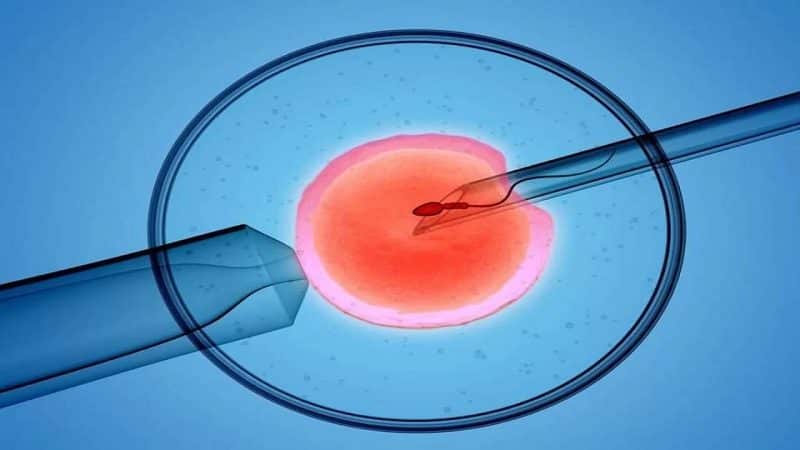 Fertilizacion In Vitro1