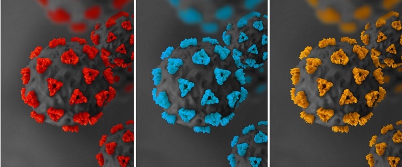 Identificacion de una nueva cepa de virus