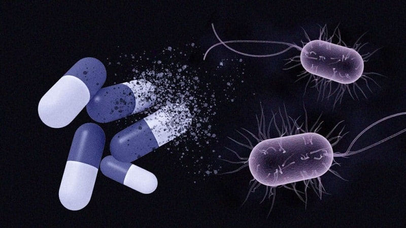 antibioticos en las bacterias