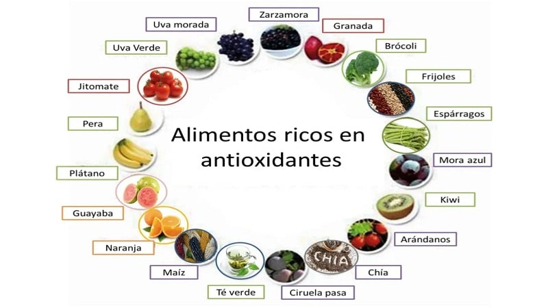 antioxidantes alimentos