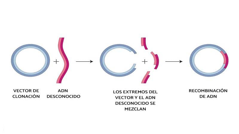 biodiversidad2