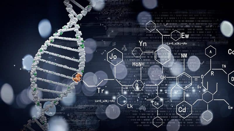 bioinformatica