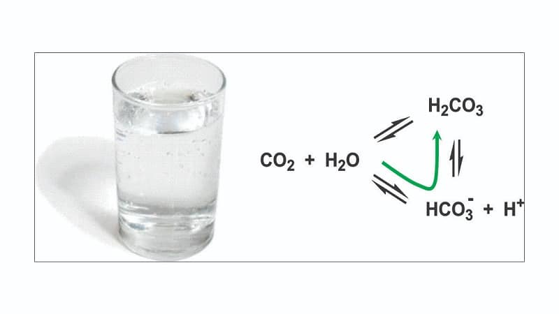 co2 1