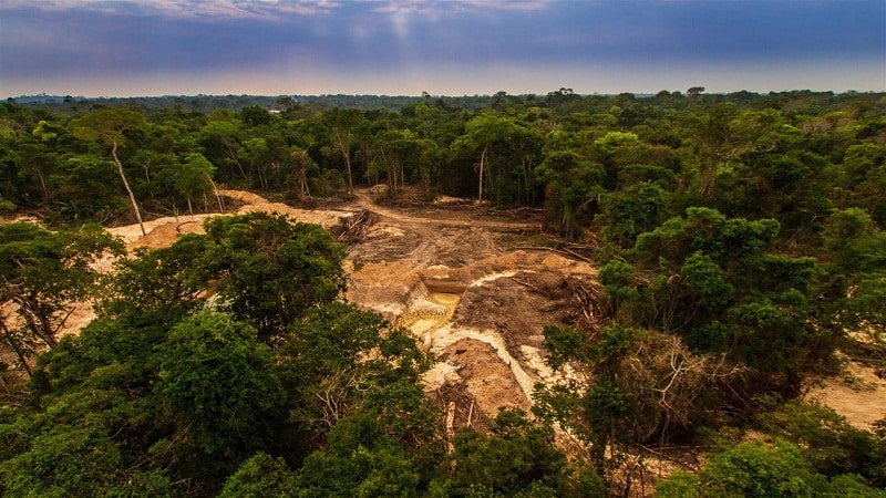 colapso de ecosistema