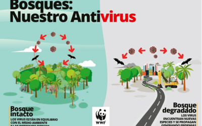 como afecta el cambio climatico a la propagacion de enfermedades calor en la salud