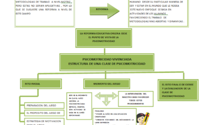 como determinar si el desarrollo del sistema muscular del embrion esta progresando adecuadamente observando los primeros movimientos 1