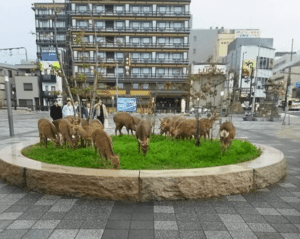 como esta afectando la urbanizacion a la vida silvestre en las ciudades y que podemos hacer al respecto