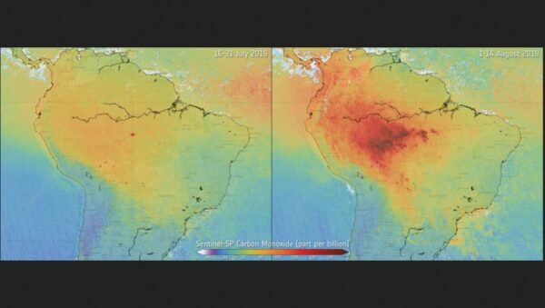 como estan afectando los incendios forestales la calidad del aire en todo el mundo