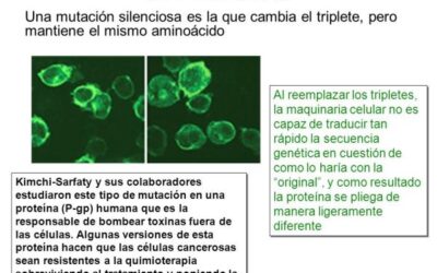 como saber si tienes una mutacion somatica el misterio de los cambios geneticos