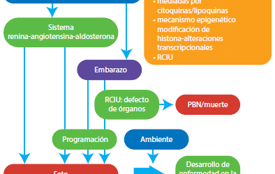 como saber si un embrion tiene posibilidades de ser viable en busqueda de signos de vida