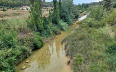 como saber si un rio esta contaminado rastreando la salud de nuestros rios