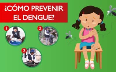 como saber si una enfermedad se puede prevenir evitando el peligro