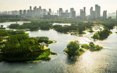 como se adapta la vida salvaje a las ciudades la naturaleza en el concreto