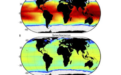 como se controla la propagacion de enfermedades en aviones epidemias a 10000 metros de altura