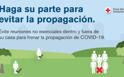 como se controla la propagacion de enfermedades en grandes eventos salud en las multitudes