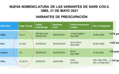 como se produce la mutacion puntual el error mas pequeno con grandes consecuencias