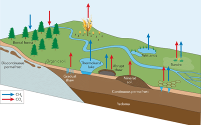cual es el impacto del deshielo del permafrost en la liberacion de gases de efecto invernadero