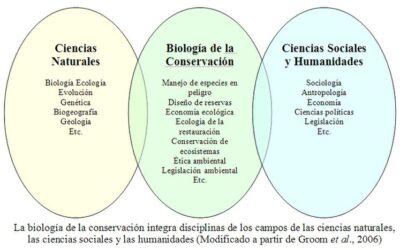 cuando comenzo el movimiento de la conservacion ecologica la defensa de la vida