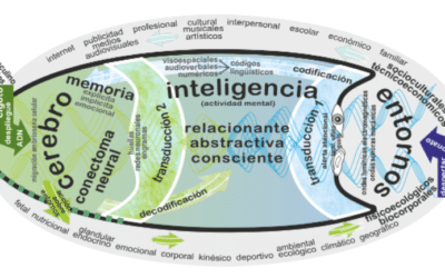 cuando se forman las celulas cerebrales en el embrion el inicio de nuestras capacidades mentales