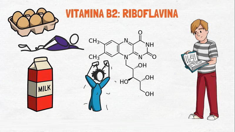 deficiencia de vitamina B2