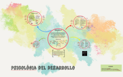 donde ocurre la formacion de los organos sensoriales en el embrion nuestra preparacion para percibir el mundo