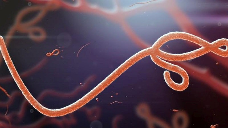 ebola 1