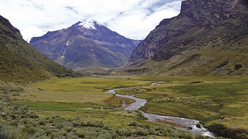 ecosistemas de montanas