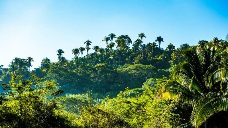 ecosistemas mas antiguos de la Tierra2