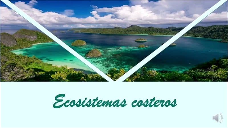 ecosistemas1 2