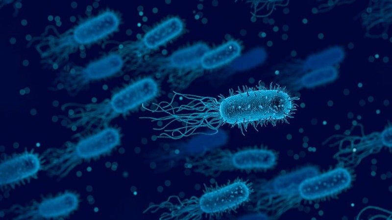 fuentes dieteticas de CoQ10