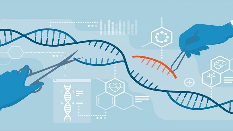 genes CRISPR Cas9