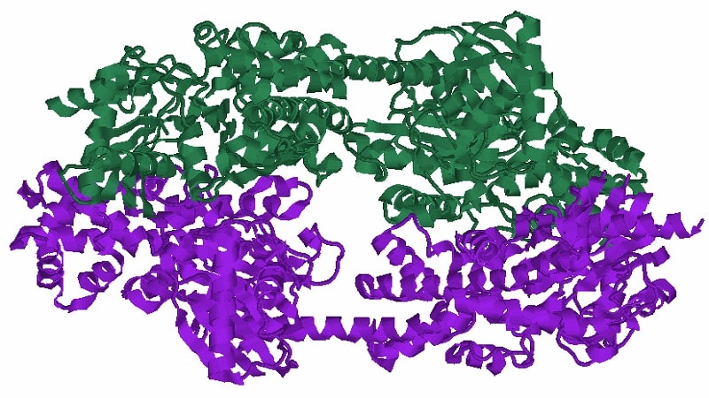 hexoquinasa 1