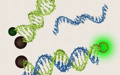 para que se utiliza la epidemiologia molecular enfermedad a nivel de adn