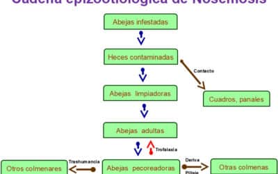 para que se utilizan los mapas de enfermedades visualizando la propagacion de la enfermedad