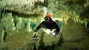 para que sirve la ecologia de las cuevas en la oscuridad del subsuelo