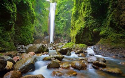 para que sirve la ecologia del paisaje en la planificacion territorial disenando con la naturaleza