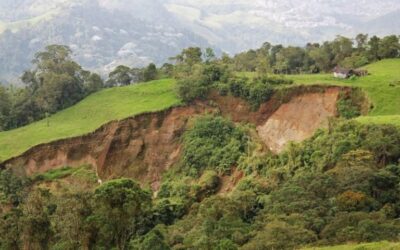 para que sirven las zonas de conservacion en la mitigacion de desastres naturales barreras contra la tormenta