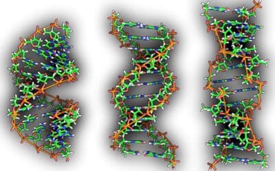 por que el genoma humano es tan complejo la maravilla de la evolucion