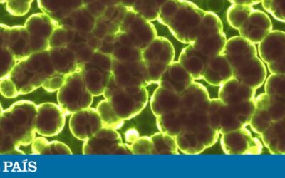 por que es tan importante el genoma del cancer la clave para derrotar a un enemigo mortal