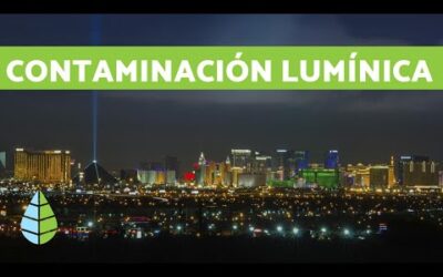 por que la contaminacion luminica es un problema ecologico cuando la noche nunca llega